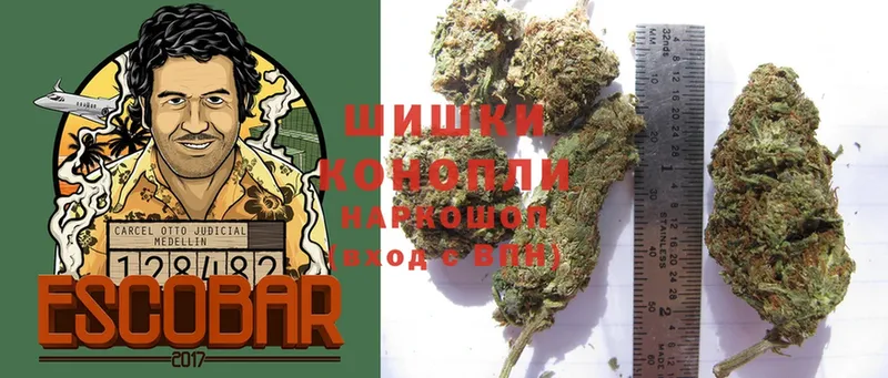 где найти наркотики  Ахтубинск  Шишки марихуана SATIVA & INDICA 